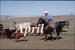 The Rangeland Art of Patrick Landes