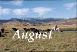 The Rangeland Art of Patrick Landes