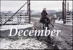 The Rangeland Art of Patrick Landes