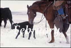 The Rangeland Art of Patrick Landes
