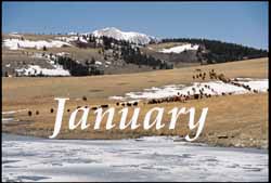 The Rangeland Art of Patrick Landes