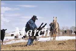 The Rangeland Art of Patrick Landes
