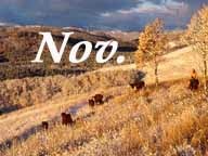 The Rangeland Art of Patrick Landes