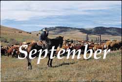 The Rangeland Art of Patrick Landes